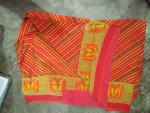 Vibrant Striped Saree with Butterfly Border