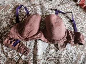 Zivame Padded Wired T Shirt Bras
