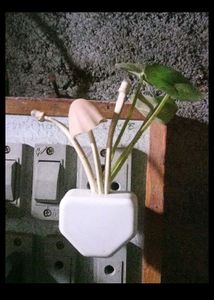 Mushroom Light