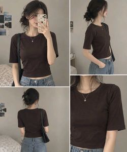 Classic Brown Cropped Tshirt