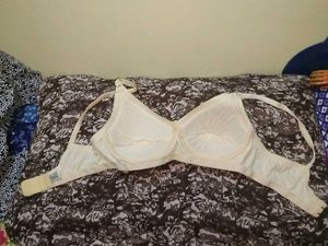 Comfortable Everyday padded Bra combo
