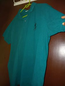 Teal Polo t Shirt
