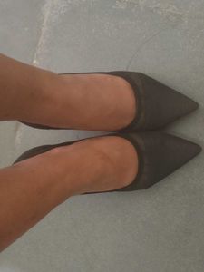 pointed-toe semi-sheer mesh trend.