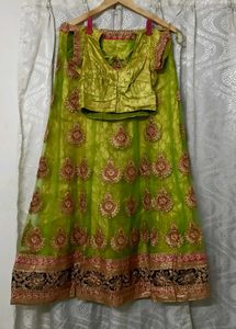 Vibrant Embroidered Lehenga Choli