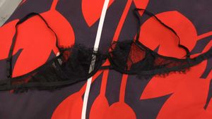 Net Transparent Bra 32B