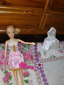 Barbie Doll with Accessories