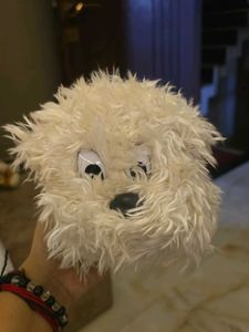 Cute Fluffy Dog