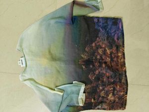 Scenic Print Button-Up Blouse