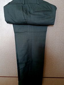 Gray Men Raymond Trousers