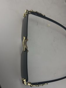 Stylish Black Sunglasses with Gold Accents