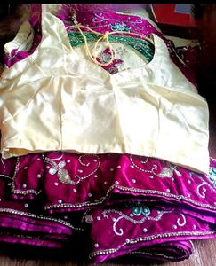 Exquisite Embroidered Lehenga Choli
