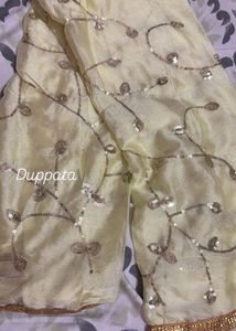 Elegant Sequined Kurta