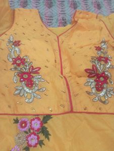 Beautiful Yellow Embroidered Gown