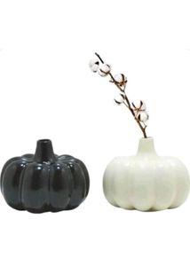 Combo of 3 Pumpkin Ceramic Vases