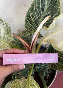 Etude House Shine Fix Eyes