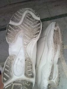 White Casual Sneakers