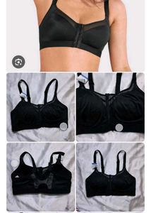 Panache Sports Bra