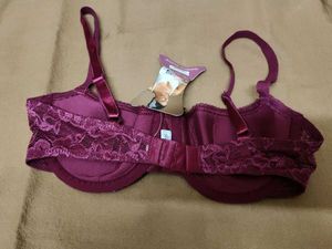 Lace Padded Bra
