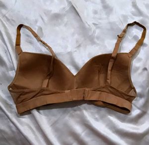 lively Brown Bra