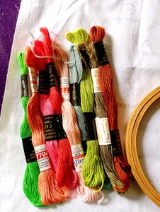Embroidery Kit with Threads &amp; Hoop
