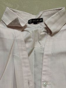 Scale Soft Pink Button-Down Office Shirt