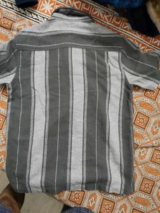 Zudio Striped Grey Short Sleeve Shirt