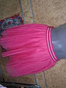 Pink Pleated Tulle Skirt
