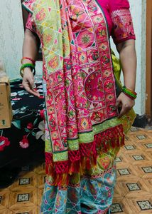 Pastel Multicolour Embroidered Saree
