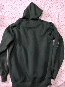 Balmain Lion Logo Hoodie