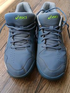Asics Blue Sport Shoes