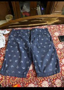 Blue Dolphin Print Shorts