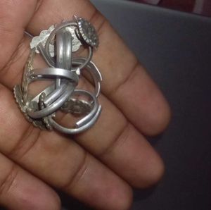 Silver Bichiya