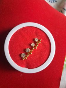 beautiful new earrings