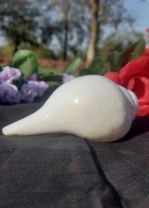 Shankh