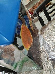 Glass Aquarium With Ornaments