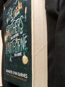 The Brothers Hawthorne Novel