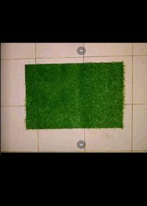 New doormat