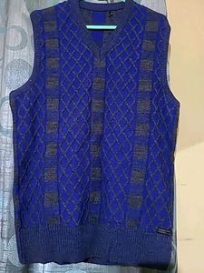 Elegant Sleeveless Sweater For Men