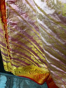 Elegant Golden Saree