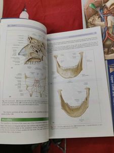 Thieme Dissector - Anatomy Book Set