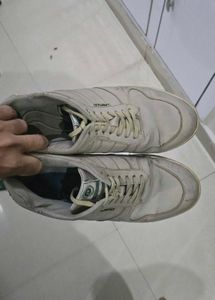 Urgent SELL Beige Casual Sneakers