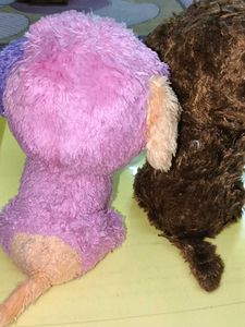 Cute Plush Dog Toys