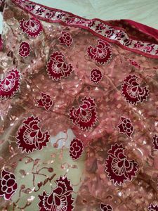 Beautiful Saree Half Net