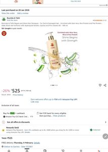 Boericke &amp; Tafel Repair Shampoo