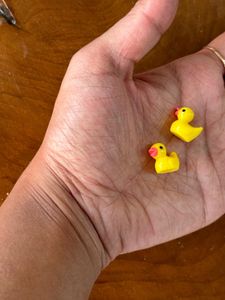 Set Of 6 Duck Miniature