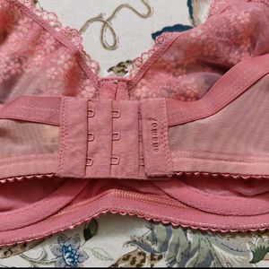 Enamored Wired Bra