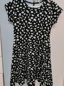 Floral Sunflower Print Mini Dress