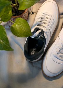 Women's White Sneakers size UK  4/37