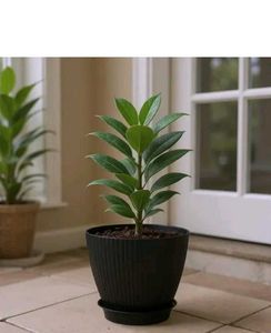 🌿 Stylish Ribbed Plant Pot with Saucer(SET OF5)