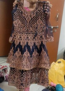 Elegant Embroidered Indian Dress
